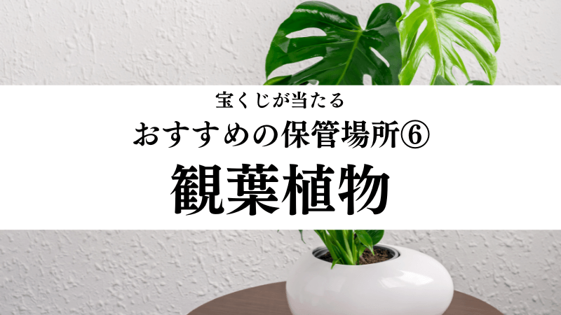 宝くじが当たるおすすめの保管場所⑥観葉植物