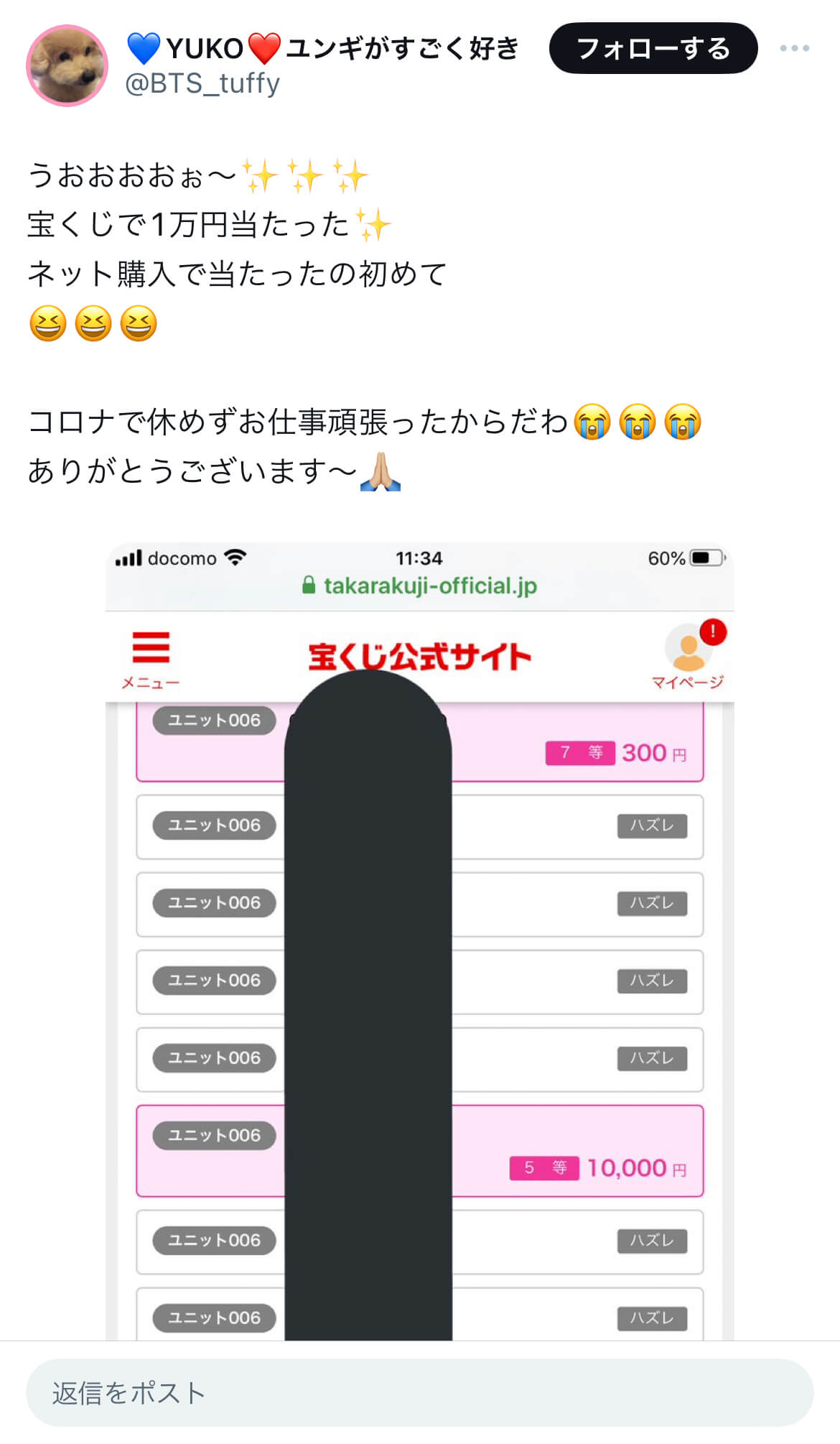 宝くじのネット購入で当たった人を調査
